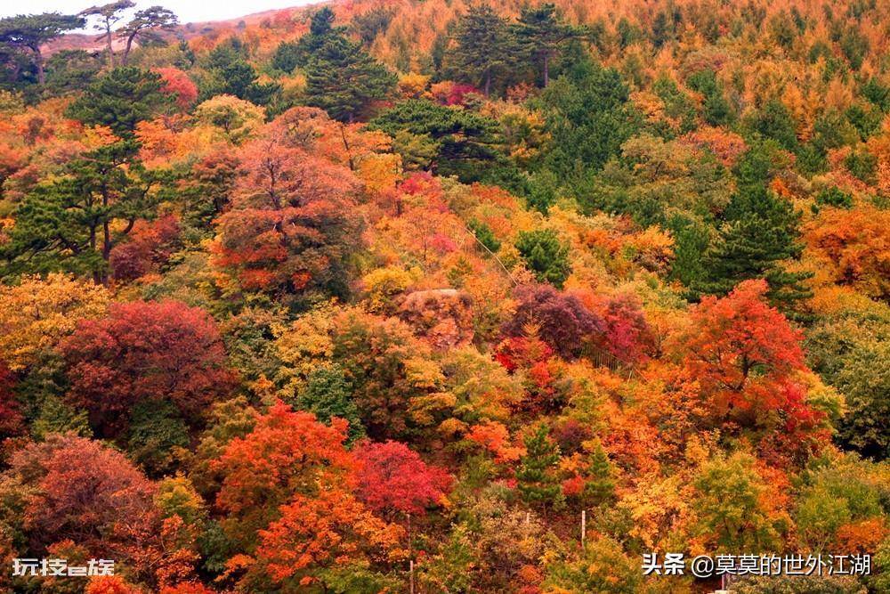 妙峰山在哪里(北京门头沟妙峰山自然风景区介绍)-图片3